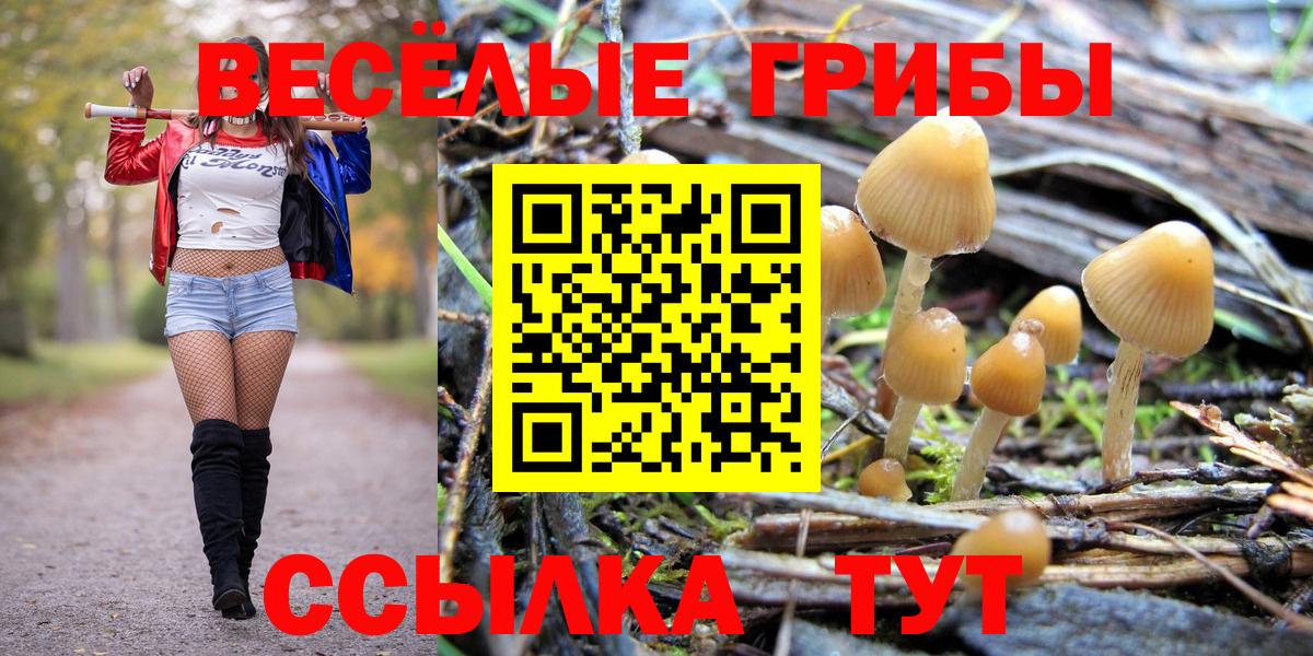 Галлюциногенные грибы Psilocybine cubensis Чебоксары